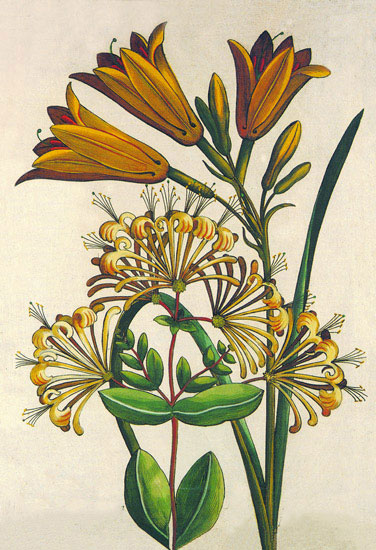 Kompatibel Blumen für JAHRRIESNGE flowers lpf10189 Compatible Blumen JAHRRIESNGE for flowers lpf10189