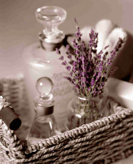 Kompatibel Blumen für Jahrriesnge flowers lpf10206 Compatible Blumen Jahrriesnge for flowers lpf10206