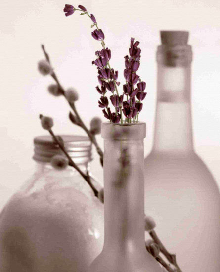 Kompatibel Blumen für JAHRRIESNGE flowers lpf10208 Compatible Blumen JAHRRIESNGE for flowers lpf10208