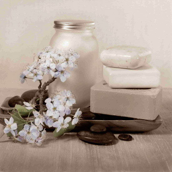 Kompatibel Blumen für JAHRRIESNGE flowers lpf10216 Compatible Blumen JAHRRIESNGE for flowers lpf10216