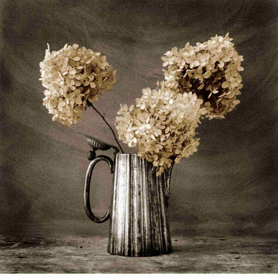 Kompatibel Blumen für JAHRRIESNGE flowers lpf10220 Compatible Blumen JAHRRIESNGE for flowers lpf10220