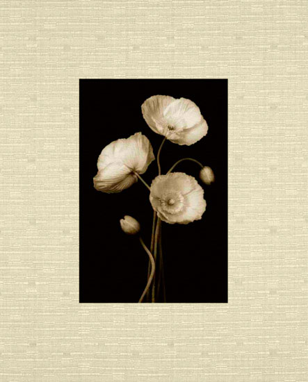 Kompatibel Blumen für JAHRRIESNGE flowers lpf10224 Compatible Blumen JAHRRIESNGE for flowers lpf10224