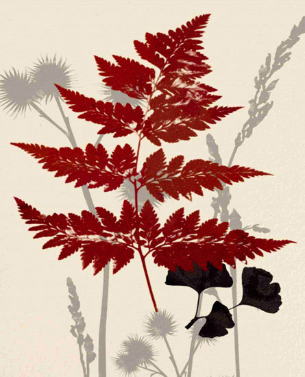 Kompatibel Blumen für JAHRRIESNGE leaves lpf10283 Compatible Blumen JAHRRIESNGE for leaves lpf10283