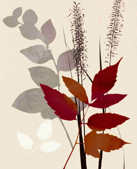 Kompatibel Blumen für JAHRRIESNGE leaves lpf10286 Compatible Blumen JAHRRIESNGE for leaves lpf10286