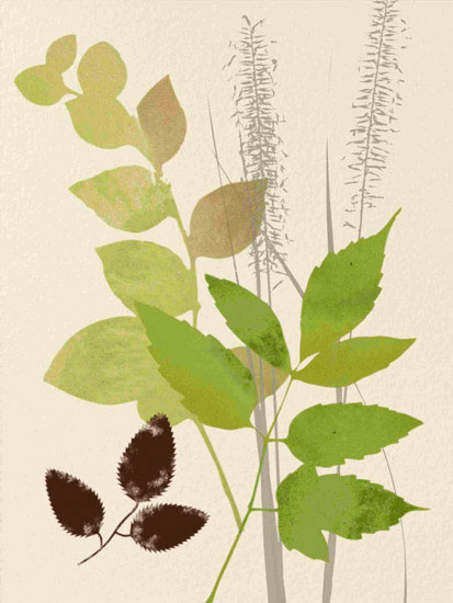 Kompatibel Blumen für JAHRRIESNGE leaves lpf10289 Compatible Blumen JAHRRIESNGE for leaves lpf10289