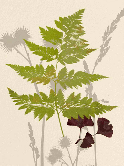 Kompatibel Blumen für JAHRRIESNGE leaves lpf10290 Compatible Blumen JAHRRIESNGE for leaves lpf10290