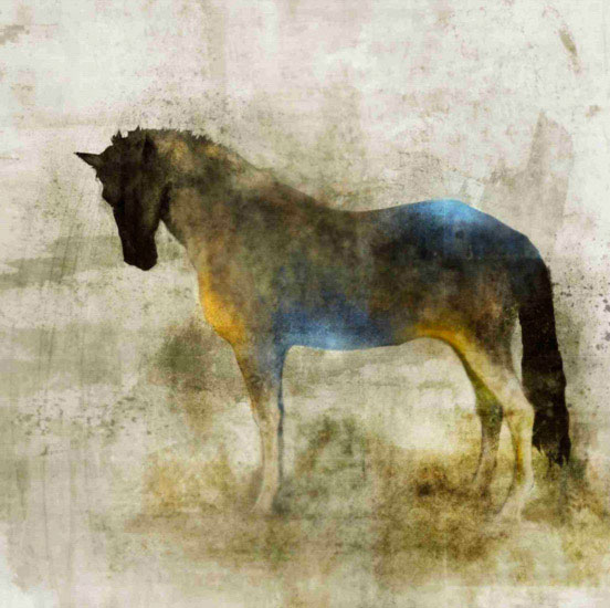 Kompatibel Tiere für Jahrriesnge horse lpf10532 Compatible Tiere Jahrriesnge for horse lpf10532