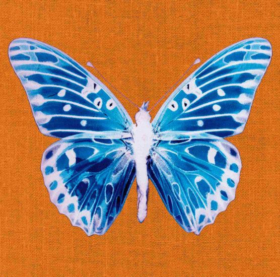 Kompatibel Tiere für Jahrriesnge butterfly lpf10548 Compatible Tiere Jahrriesnge for butterfly lpf10548