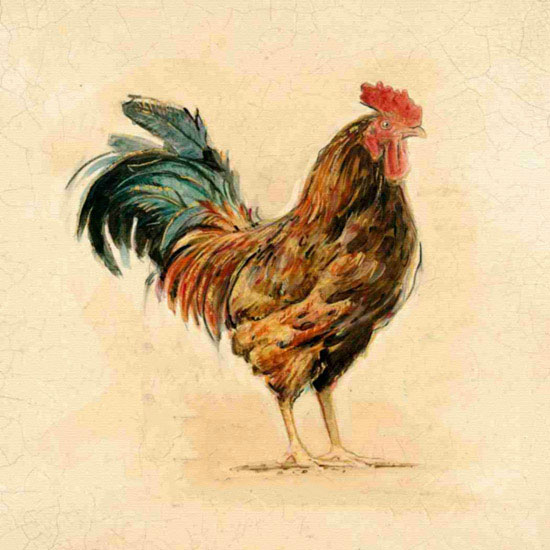 Kompatibel Tiere für Jahrriesnge cock lpf10564 Compatible Tiere Jahrriesnge for cock lpf10564