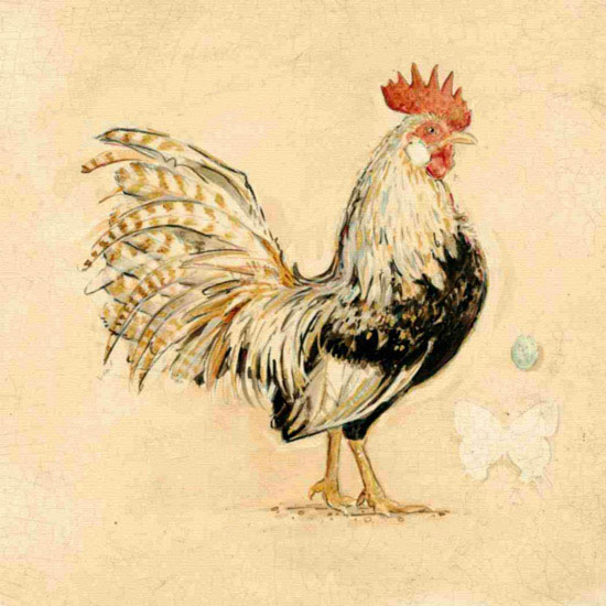 Kompatibel Tiere für Jahrriesnge cock lpf10565 Compatible Tiere Jahrriesnge for cock lpf10565
