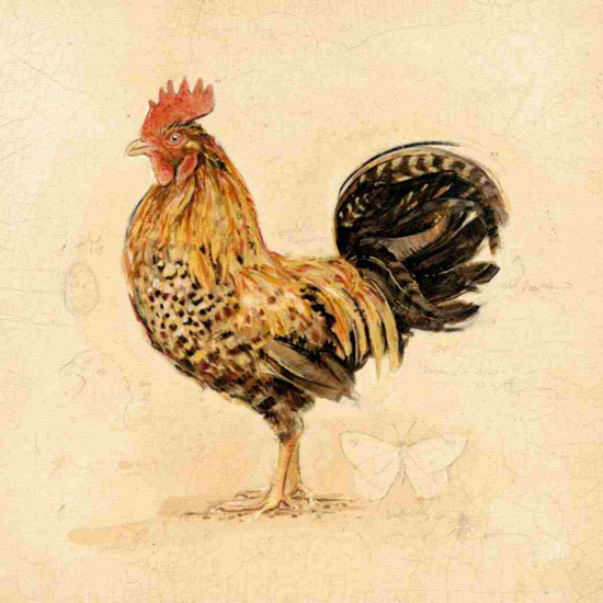 Kompatibel Tiere für Jahrriesnge cock lpf10566 Compatible Tiere Jahrriesnge for cock lpf10566