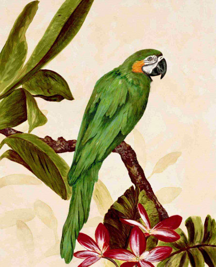 Kompatibel Tiere für Jahrriesnge macaw lpf10596 Compatible Tiere Jahrriesnge for macaw lpf10596