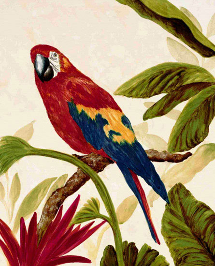 Kompatibel Tiere für Jahrriesnge macaw lpf10597 Compatible Tiere Jahrriesnge for macaw lpf10597