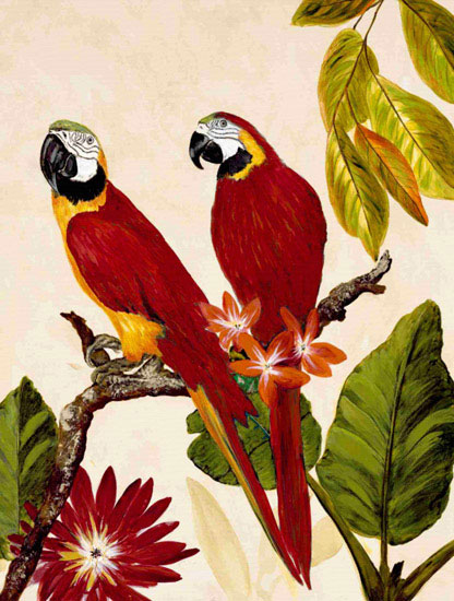 Kompatibel Tiere für Jahrriesnge macaw lpf10599 Compatible Tiere Jahrriesnge for macaw lpf10599