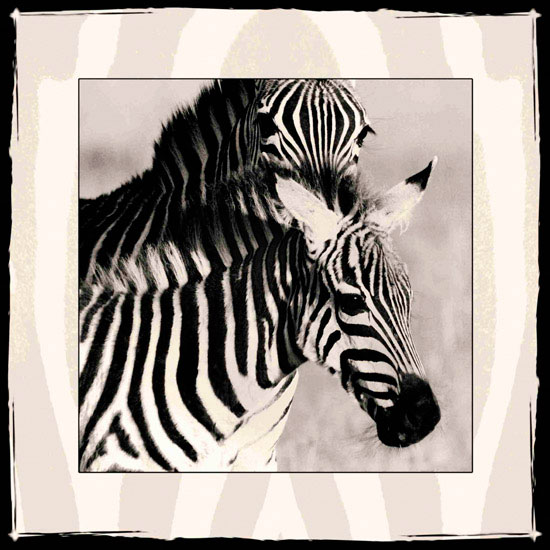 Kompatibel Tiere für Jahrriesnge zebra lpf10649 Compatible Tiere Jahrriesnge for zebra lpf10649
