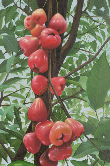 Kompatibel Stillleben für Jahrriesnge fruits lpf13649 Compatible Stillleben Jahrriesnge for fruits lpf13649