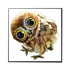 Kompatibel Tiere für Jahrriesnge owl-lpg0514 Compatible Tiere Jahrriesnge for owl-lpg0514