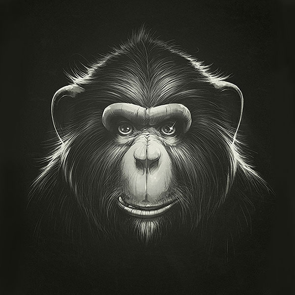 Kompatibel Tiere für Jahrriesnge monkey-lpg0531 Compatible Tiere Jahrriesnge for monkey-lpg0531