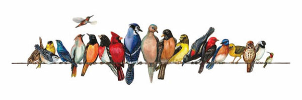 Kompatibel Tiere für Jahrriesnge birds-song-lpg1000 Compatible Tiere Jahrriesnge for birds-song-lpg1000