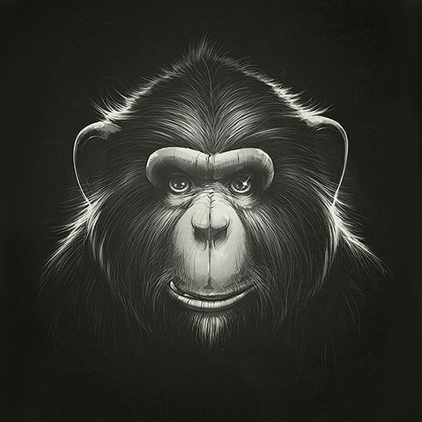 Kompatibel Tiere für Jahrriesnge monkey-lpg1627 Compatible Tiere Jahrriesnge for monkey-lpg1627
