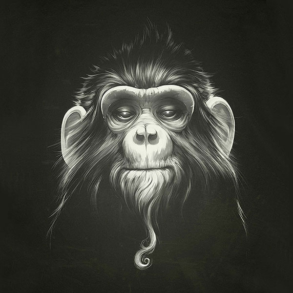 Kompatibel Tiere für Jahrriesnge monkey-lpg1628 Compatible Tiere Jahrriesnge for monkey-lpg1628
