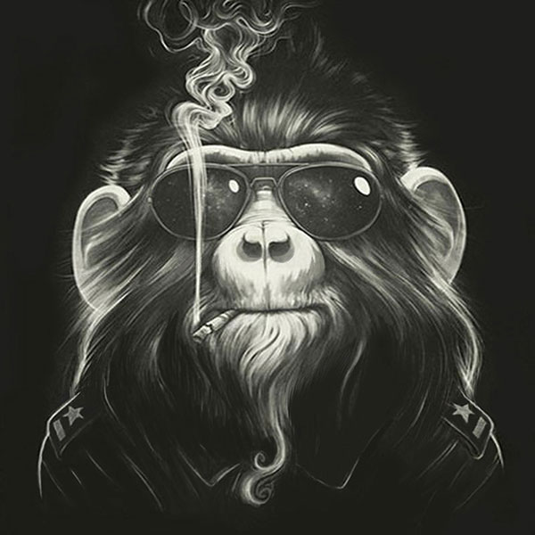Kompatibel Tiere für Jahrriesnge monkey-lpg1632 Compatible Tiere Jahrriesnge for monkey-lpg1632