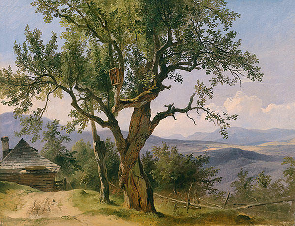 Kompatibel Landschaft für JAHRRIESNGE tree lpg2387 Compatible Landschaft JAHRRIESNGE for tree lpg2387