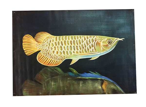Kompatibel Tiere für Jahrriesnge fish lpg2670 Compatible Tiere Jahrriesnge for fish lpg2670