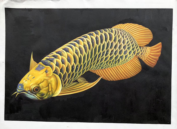 Kompatibel Tiere für Jahrriesnge fish lpg2671 Compatible Tiere Jahrriesnge for fish lpg2671