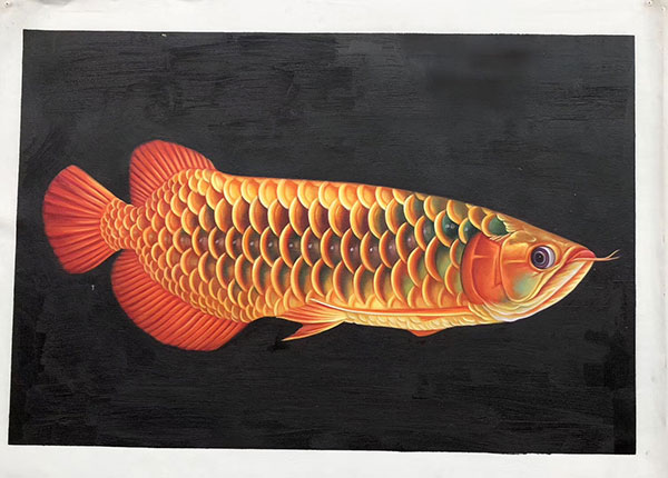 Kompatibel Tiere für Jahrriesnge fish lpg2673 Compatible Tiere Jahrriesnge for fish lpg2673
