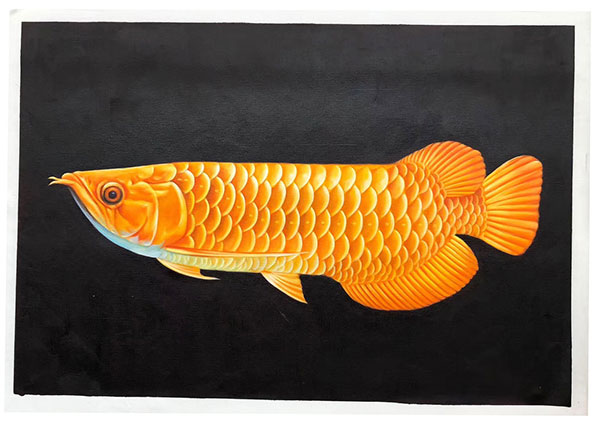 Kompatibel Tiere für Jahrriesnge fish lpg2675 Compatible Tiere Jahrriesnge for fish lpg2675
